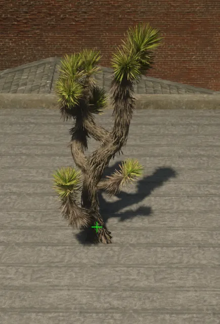 p_tree_joshua_01e