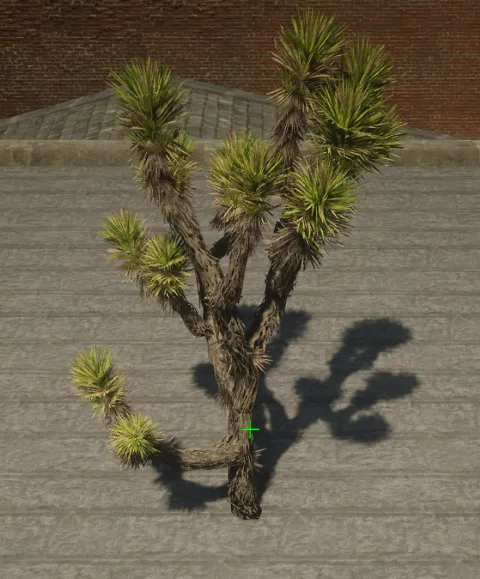 p_tree_joshua_02a