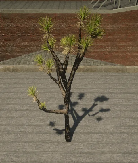 p_tree_joshua_02a_os