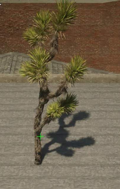 p_tree_joshua_02b