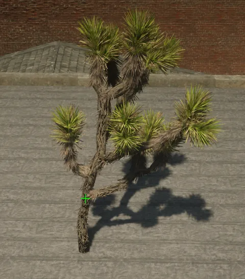 p_tree_joshua_02c