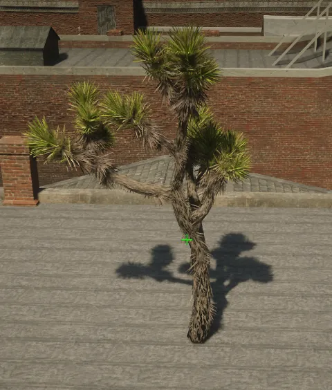 p_tree_joshua_02d