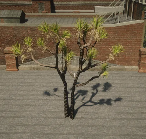 p_tree_joshua_02e_os
