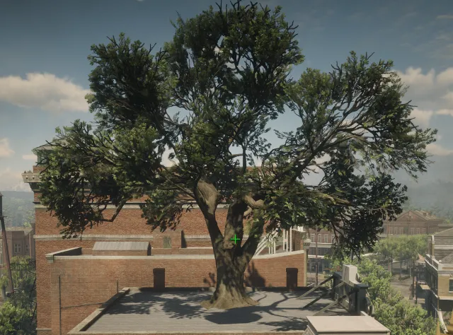 p_tree_liveoak_01
