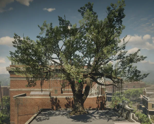 p_tree_liveoak_moss_01