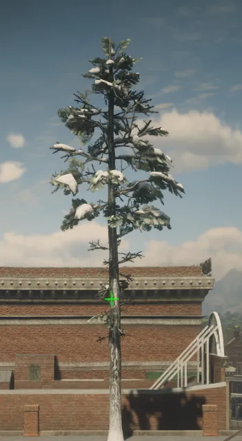 p_tree_lodgepole_snow_02b