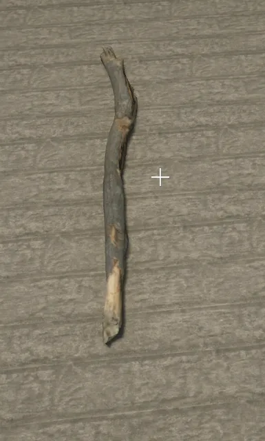 p_tree_log_05