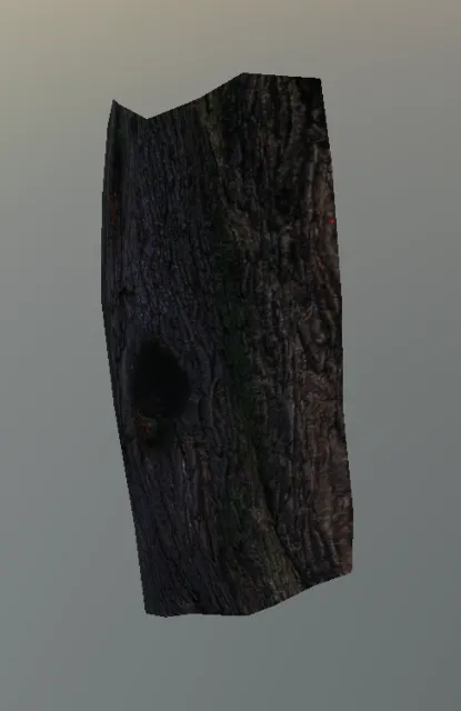 p_tree_oak_decalhole