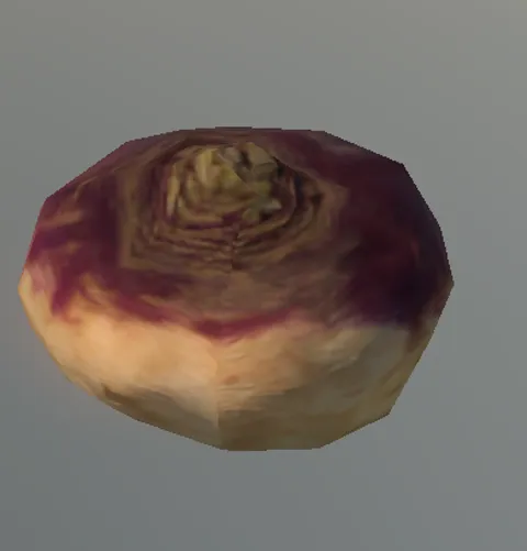 p_turnip01x