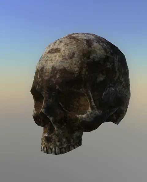 p_voodooskull01x