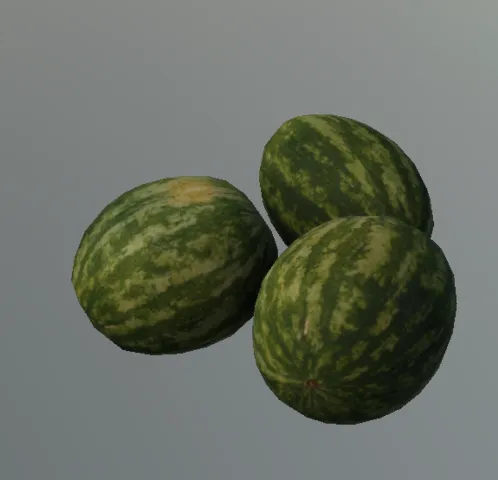 p_watermelon02x