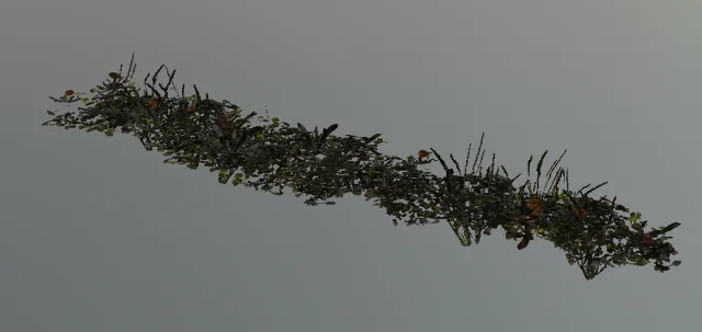 p_weed_strip_ab_int