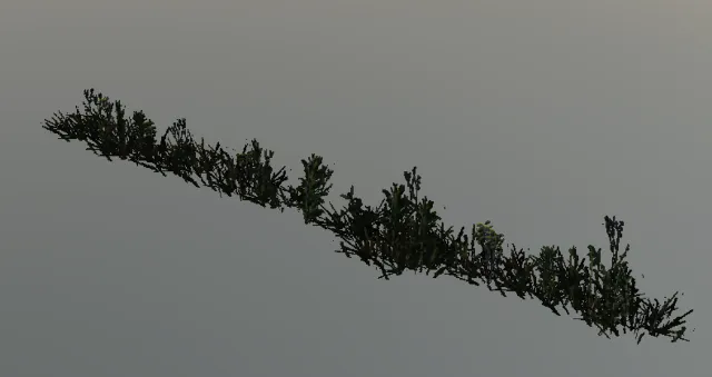 p_weed_strip_ac_int