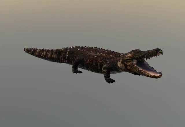 p_youngalligator02x
