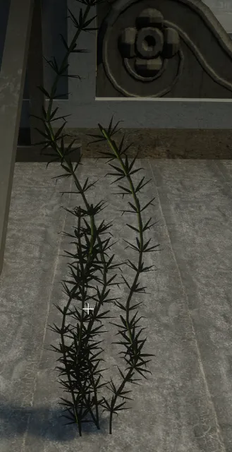 proc_algae_lakebed_03