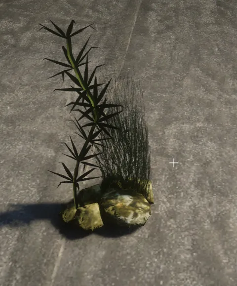 proc_algae_lakebed_04