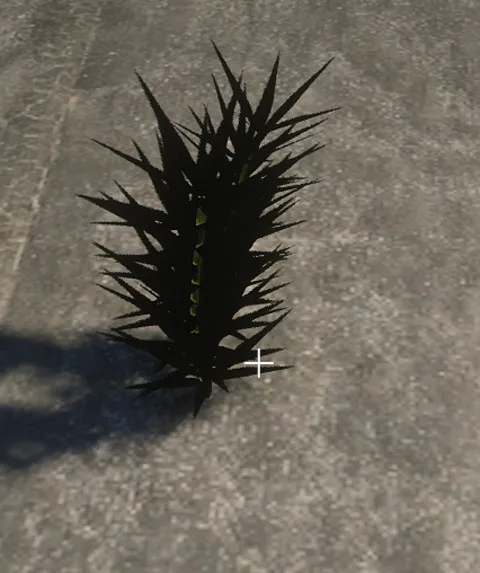 proc_algae_lakebed_05