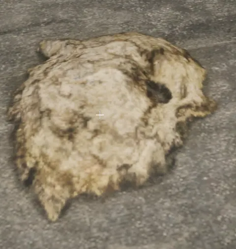 proc_cowpat_03