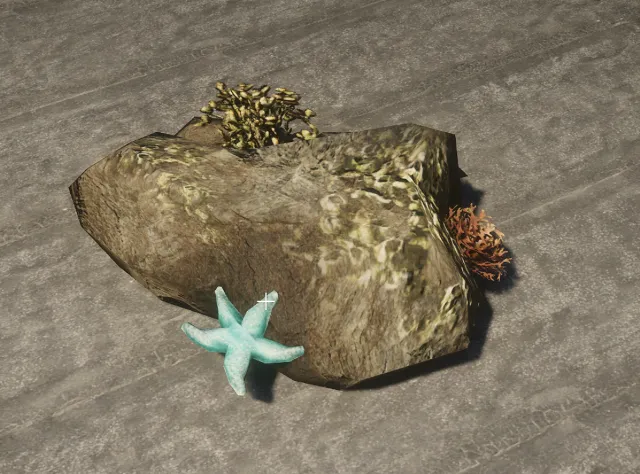 proc_searock_02