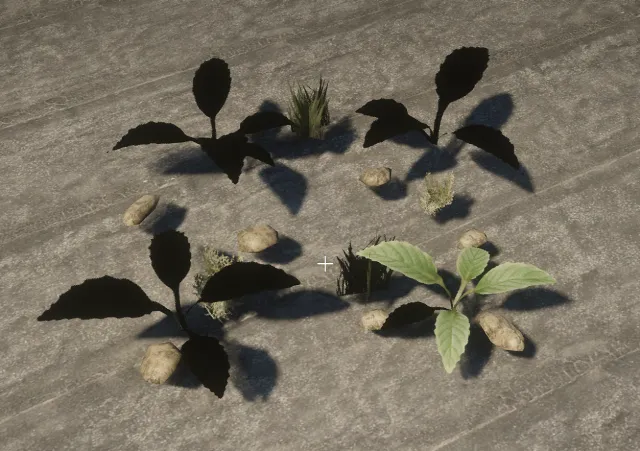 proc_seedlings_01