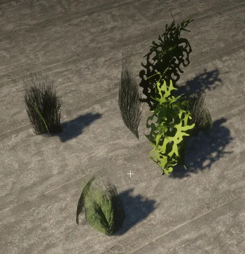 proc_trolley_lakebed