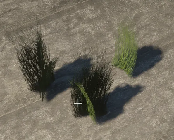 proc_tyre_lakebed