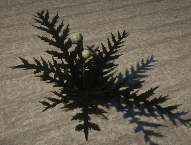 prop_bush_artichoke01