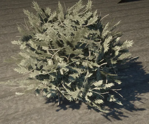 prop_bush_gorse