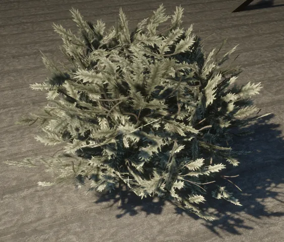 prop_bush_gorse_dark