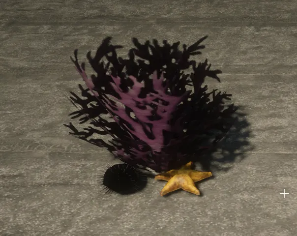 prop_coral_02