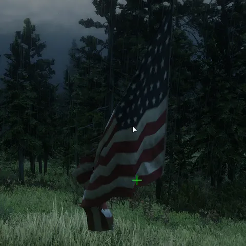 prop_flag_ussm