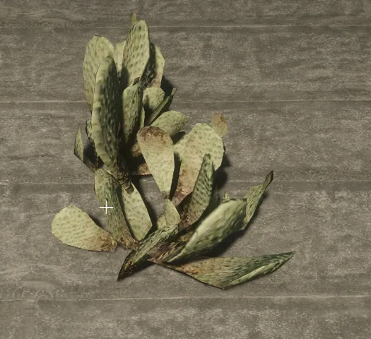prop_proc_cactus_01